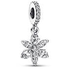 Pandora Timeless Sparkling Herbarium Cluster berlock 792382C01