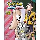 Pokémon: Sword & Shield, Vol. 12