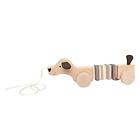 Jabadabado Dragdjur Puppy C2549