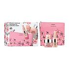 Clinique Moisture Surge Meets SPF Set SPF 25