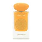 Gulf Orchid Piña Colada edp 60ml