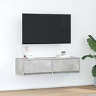 vidaXL TV-skåp Betonggrå Konstruerat trä 100 x 31 x 25,5 cm