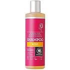 Urtekram Vård Rose Shampoo For Normal Hair 250ml
