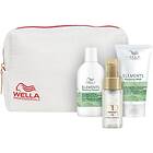 Wella Professionals Care Elements Travel Set Renewing Shampoo 100ml Renewing Mask 75ml Oil Reflections Luminous Reflective Oil 30ml
