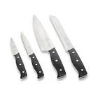 Lion Sabatier Austral knivset 4 delar