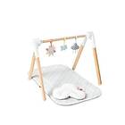 Skip Hop Silver Lining Babygym