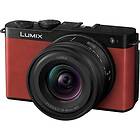 Panasonic Lumix S9 + S-R1840 18-40/4.5-6.3
