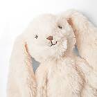 That's Mine Heavy Teddy Small