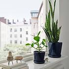 IKEA KLOTLÖNN kruka med fat, inom-/utomhus/svartblå, 19 cm, cm 19 cm