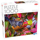 Tactic Pussel: Robin in the Autumn Leaves 1000 Bitar