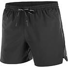 Salomon Shakeout Core 5" Shorts (Herr)
