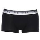 Esprit Chad Shorts 2-pack