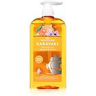 PAPOUTSANIS Karavaki Shine & Vitality Shampoo 600ml