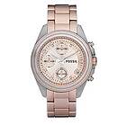 Fossil Klockarmband ES2915 Stål Rosévin 18mm