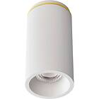 Edgeform Edgespot Fix 65 Spotlight