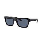 Ray-Ban Warren RB4396