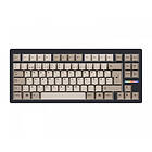 Wooting 80HE ISO Retro Keycaps