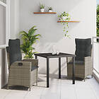 vidaXL Set om 2 Grå rattan PE Standard Avtagbara fodral Utomhusstol 3380498