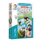 Counting Sheep