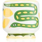 Paddywax A Dopo Snake doftljus 226g