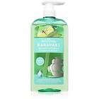 PAPOUTSANIS Karavaki Control & Detox Shampo 600ml