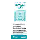 Mausritter RPG: Drained Temple of the Brackish Basin