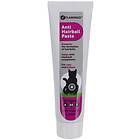 Flamingo Anti Hairball Paste 100g