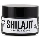 Healthwell Shilajit 30g