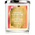 Bath & Body Works Calypso Clementine scented candle 227g