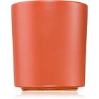 Milkhouse Candle Co. Earth & Ember Golden Pumpkin scented 369g