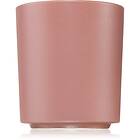 Milkhouse Candle Co. Earth & Ember Cashmere Blush scented 369g