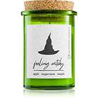 Milkhouse Candle Co. LE Halloween Feeling Witchy scented 141g