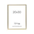 Focus Can-Can Shiny Gold 20x30