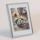 Focus Can-Can Shiny Silver 21x30