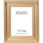 Focus Charleston Gold 40x50