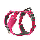 Dog Copenhagen Comfort Walk Pro Harness Wild Rose 3,0 S