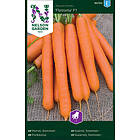 Nelson Garden Morot Sommergulrot Flyaway F1