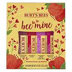 Burt's Bees Bee Mine Lip Balm 4 st