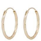 Snö Of Sweden Honey Sparkling Hoop Earring Gold 25mm