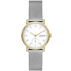 Skagen SKW3101