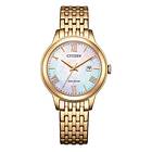 Citizen EW2623-53D