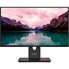 Lenovo ThinkVision T24-40 23,8" Full HD