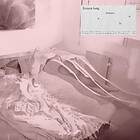 Francis Lung A Dream Is U LP/Vinyl