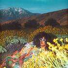 Brittany Howard What Now LP/Vinyl