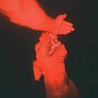 Eli Winter A Trick of the Light LP/Vinyl
