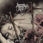 Immortal Bird Sin Querencia LP/Vinyl
