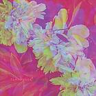 Flatwaves Numbra LP/Vinyl