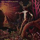 Tarot (Australia) Glipse Of The Dawn LP/Vinyl