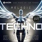 Diverse Electronica Melodic Techno 2025 LP/Vinyl