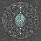 Bipolar Architecture Metaphysicize LP/Vinyl